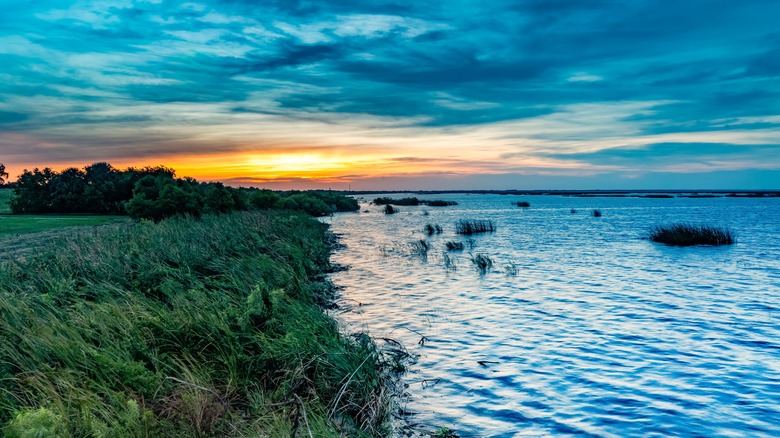 Lake Okeechobee shoreline at sunset