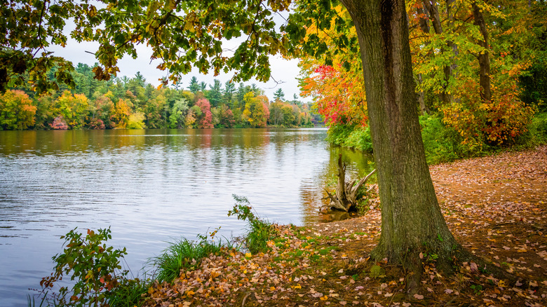 Lake Redman in York, Pennsylvania