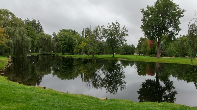 View of Tay River from Stewart Park