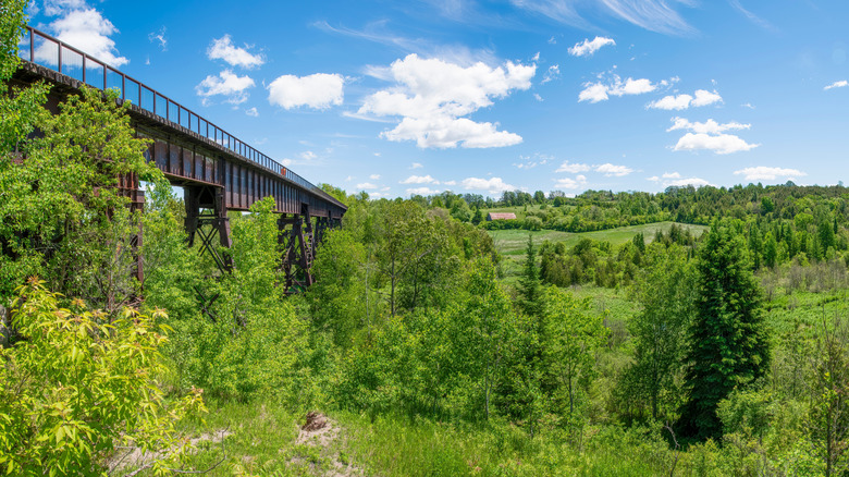 Doubes Trestle Bridge on summer day