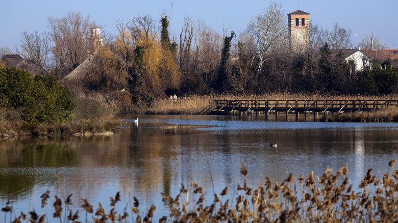 Reserve of Marano Laguare lagoon