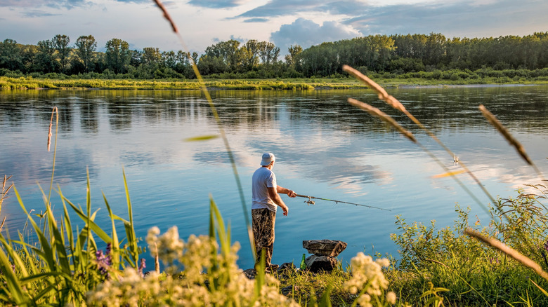 Man shore fishing in a lake