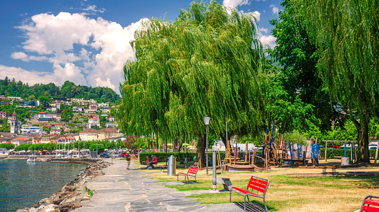 Ascona bench-filled waterfront