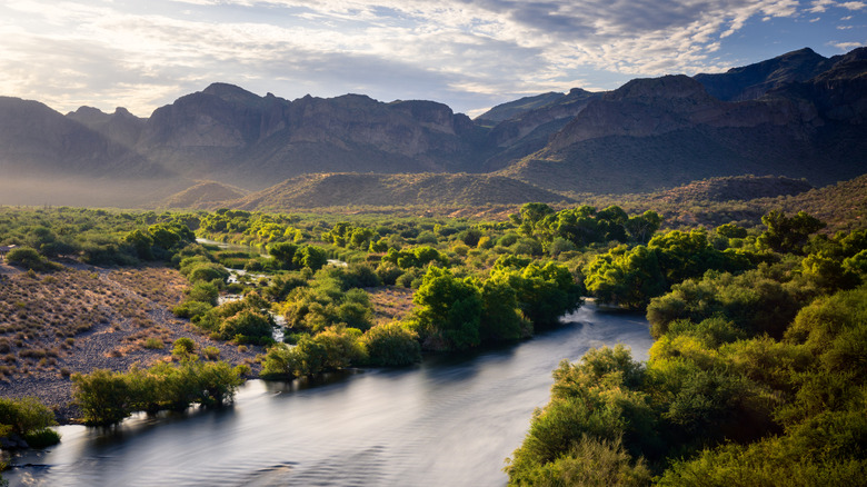 The Salt River with mountains in the background
