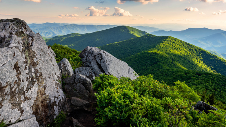 Aerial view of North Carolina's lush Black Mountains