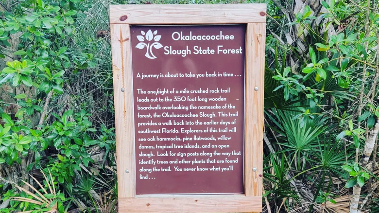 A sign from Okaloacoochee Slough State Forest with green plants behind it