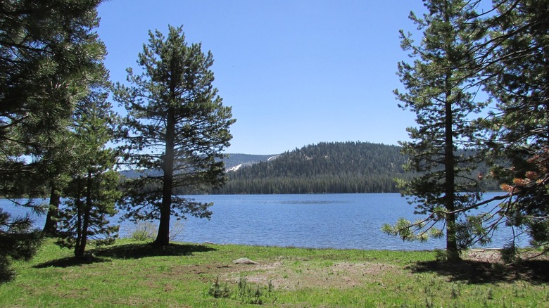 Webber Lake in Northern California on clear summer day.