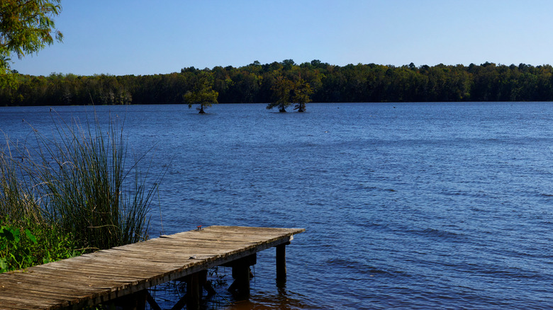 View of a dock extending into Lake Talquin in Tallahassee