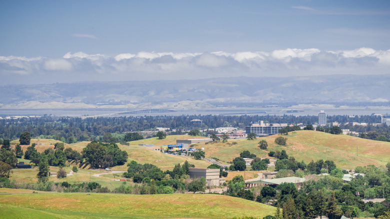 East Palo Alto surrounded by green hills and the Dumbarton Bridge in the distance, San Francisco Bay Area