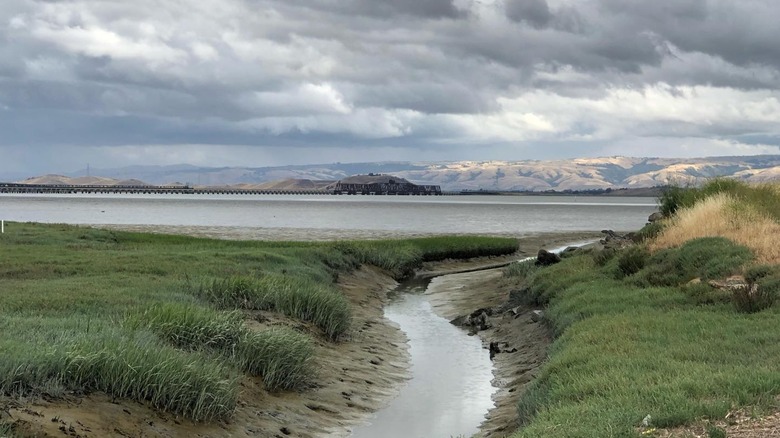 Ravenswood Open Space Preserve in East Palo Alto, San Francisco Bay Area