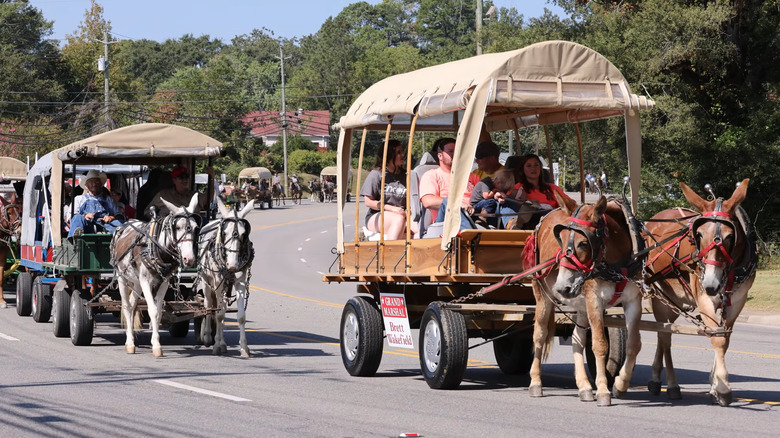 Mule Day Festival Parade in Winfield, Alabama