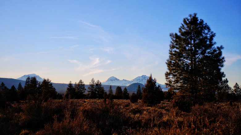 The Three Sisters from Tumalo Resevoir at sunset
