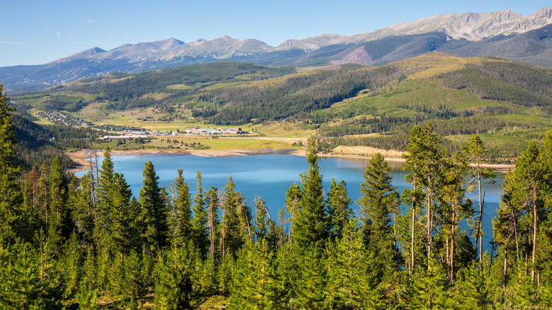 Aerial view of Keystone in summer with trees and mountains
