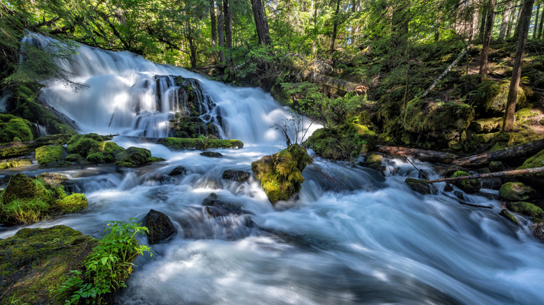Mill Creek Falls in Prospect, Oregon