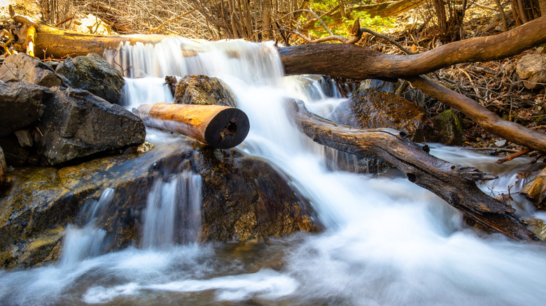 A waterfall gushes over some rocks in Adam's Canyon, Utah
