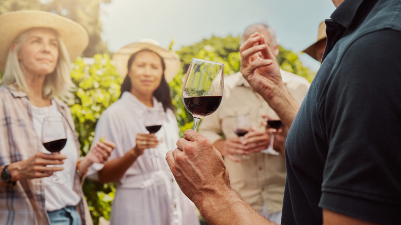 Group of people on a vineyard tour