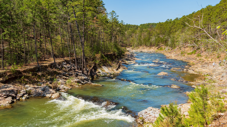 Views of the Friends Trail Loop Trail at Beavers Bend State Park, Oklahoma