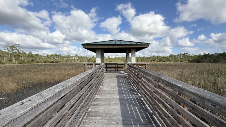 Boardwalk at Royal Palm Beach Pines Natural Area