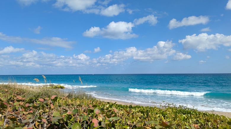 View of shore in Palm Beach, Florida