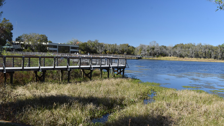 Boardwalk stretches across the water at Cooter Pond Park in Inverness, Florida