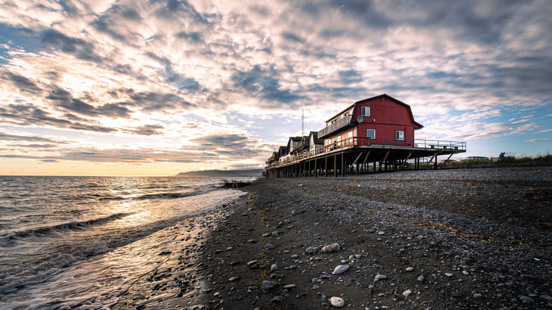 The beach at Homer Spit, Alaska