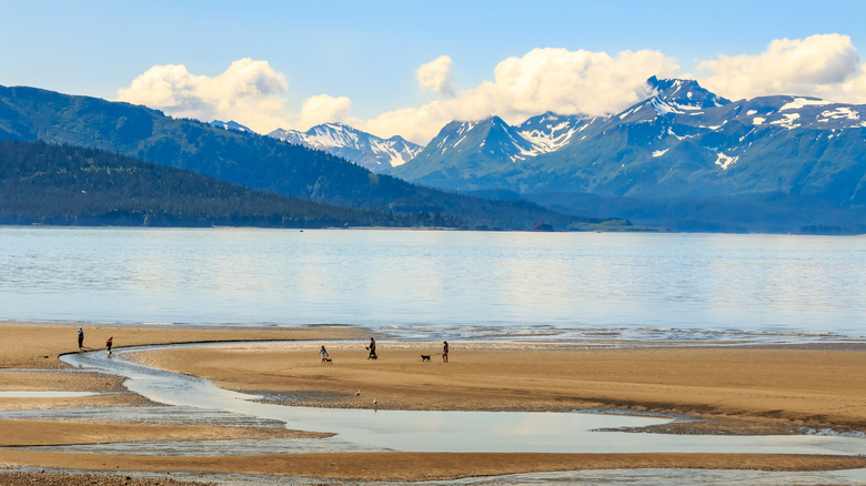 Beach at Homer Spit, Alaska