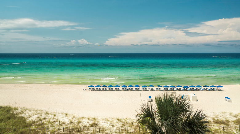 white sand beach with blue beach umbrellas at Seaside, Florida