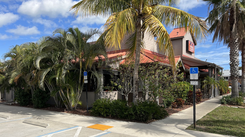 Palm trees in front of Charlie & Jake's Barbecue in Indian Beach Harbour, Florida