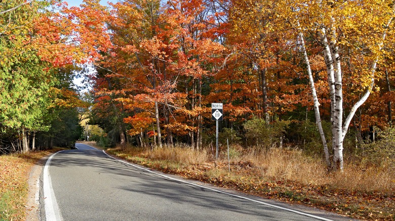 The drive north of Harbor Springs, Michigan