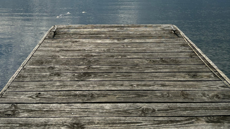 A dock on Lake Seminole, Florida