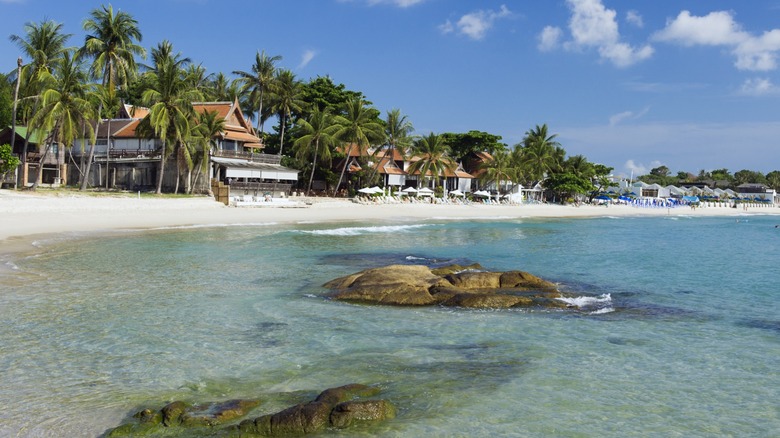 Green palm trees and the sea on Chaweng Beach on Koh Samui in Thailand