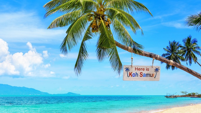 A "Here is Koh Samui" sign on a palm tree on the beach in Koh Samui in Thailand