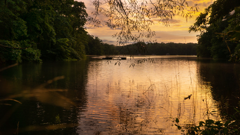 Sunset on Lake Hartwell