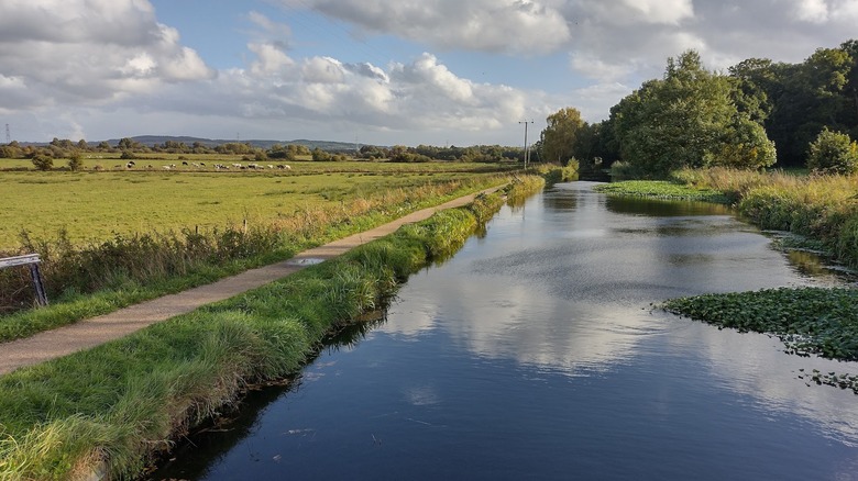 A path flanked by a canal and fields with cows grazing in them