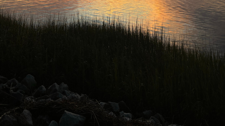 Sunset on Skidaway Island in Savannah