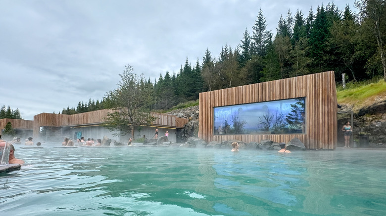Hot springs near modern wooden building near forest in Iceland