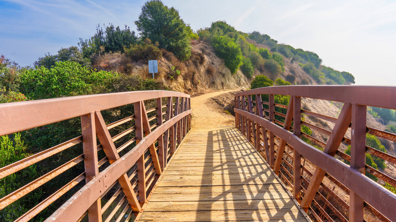 Bridge to Glendale Peak
