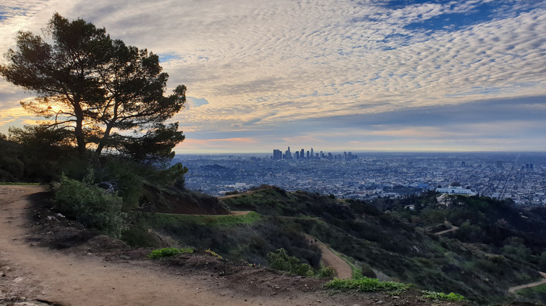 Downtown LA and Griffith Park from Glendale Peak trail