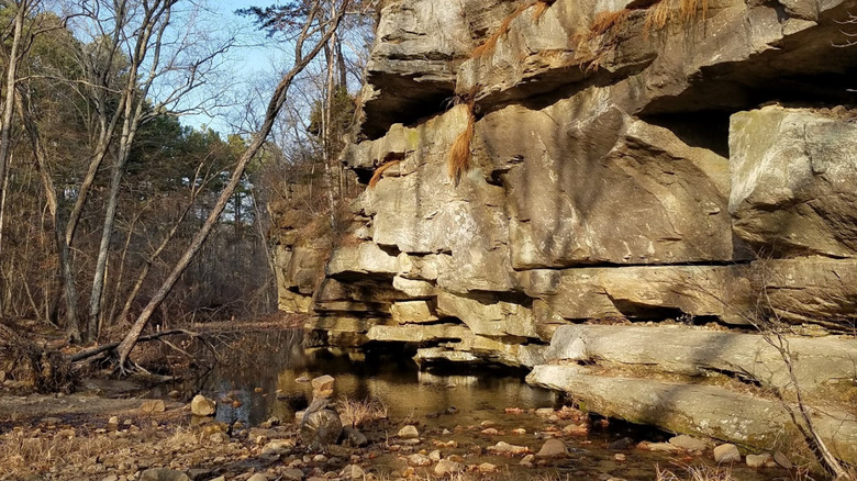 Rock formations at Hawn State Park in Missouri