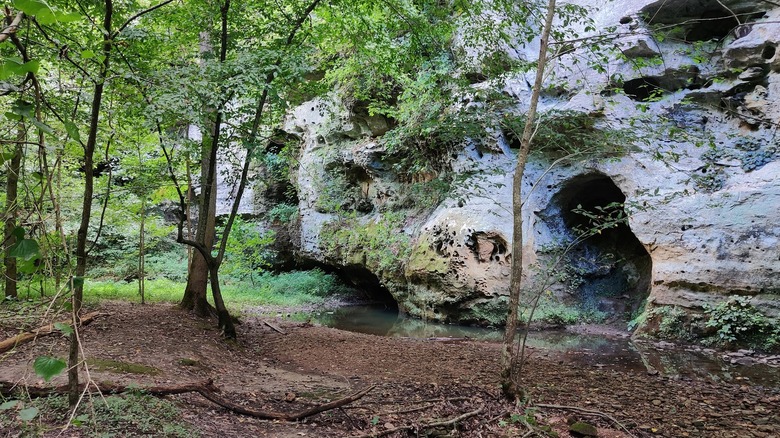 The Little Grand Canyon Trail in Shawnee National Forest