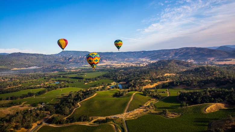 Hot air balloons above Napa Valley