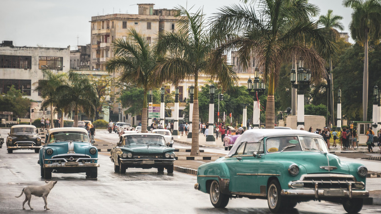 Vintage cars on the palm-lined Paseo del Prado