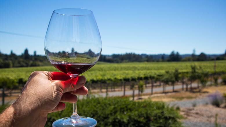 Glass of red wine in hand at Sonoma County vineyard