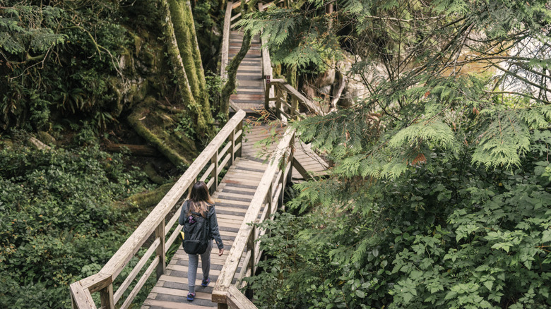 Walker exploring Pacific Rim National Park, BC, Canada