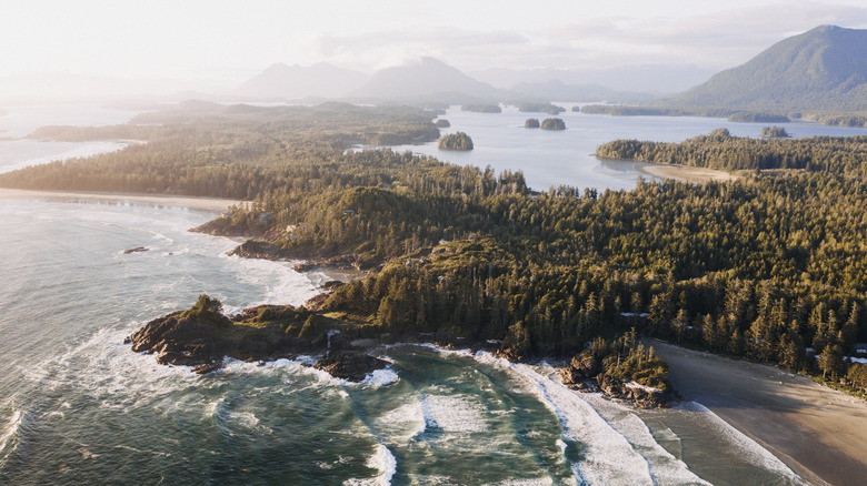 Pacific Rim National Park Reserve, BC, Canada