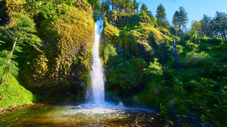 Horsetail Falls, Oregon with greenery