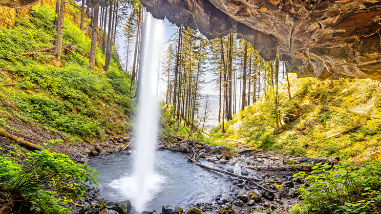 View from behind Ponytail Falls