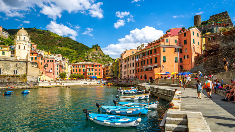 Colorful houses on the Cinque Terre coast