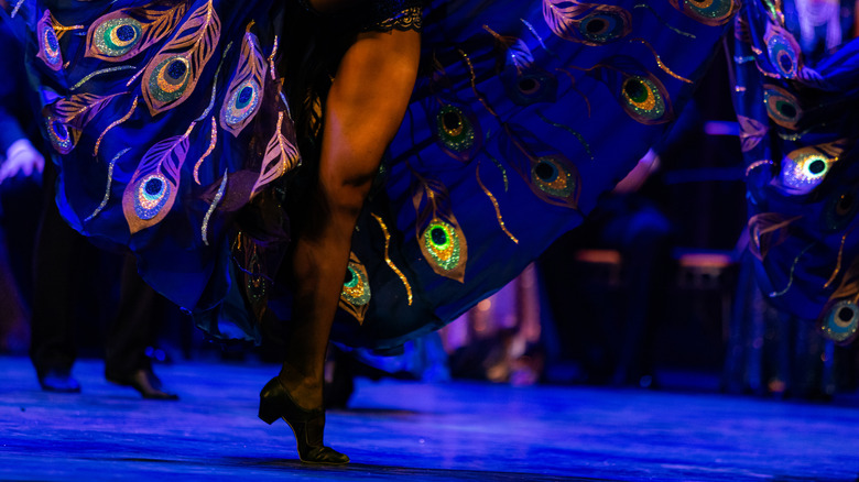 Close up of a cancan dancer's leg and peacock costume