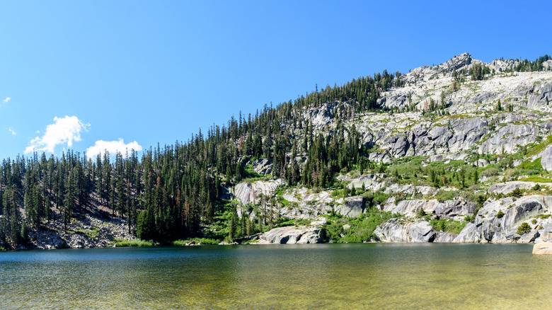 The sparkling waters of the upper Angora Lake surrounded by tree-covered mountains